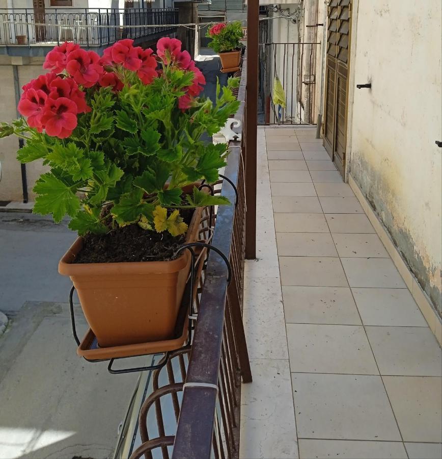 B&B La Casa Dell'Ospite Gravina in Puglia Exterior photo